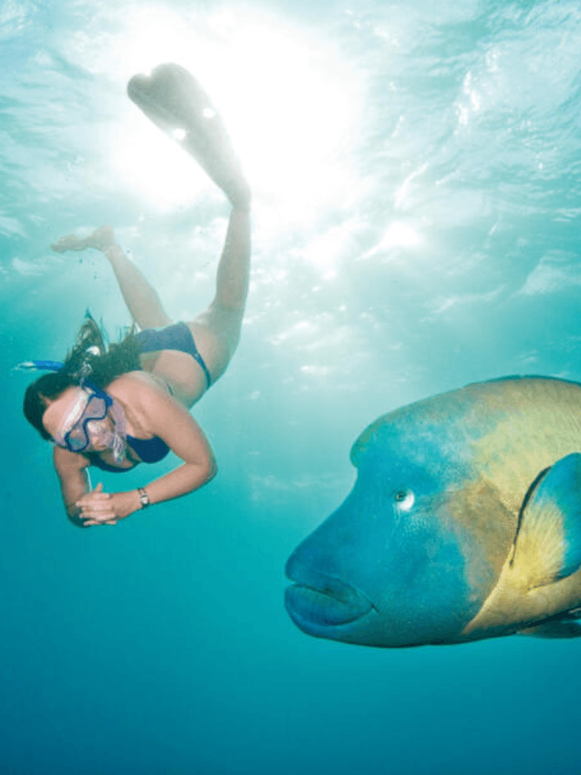 Great Barrier Reef
